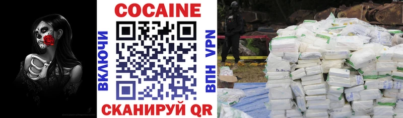 Кокаин FishScale  Купить закладки  Дегтярск 