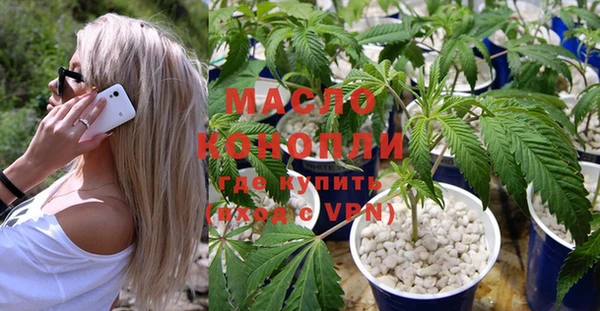 стаф Козельск