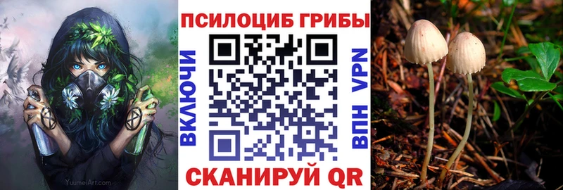 Псилоцибиновые грибы Magic Shrooms Дегтярск