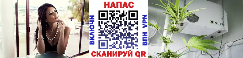 Купить  Дегтярск  Конопля конопля 